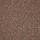 Shaw Floors: Dalton 40 12 Candied Truffle